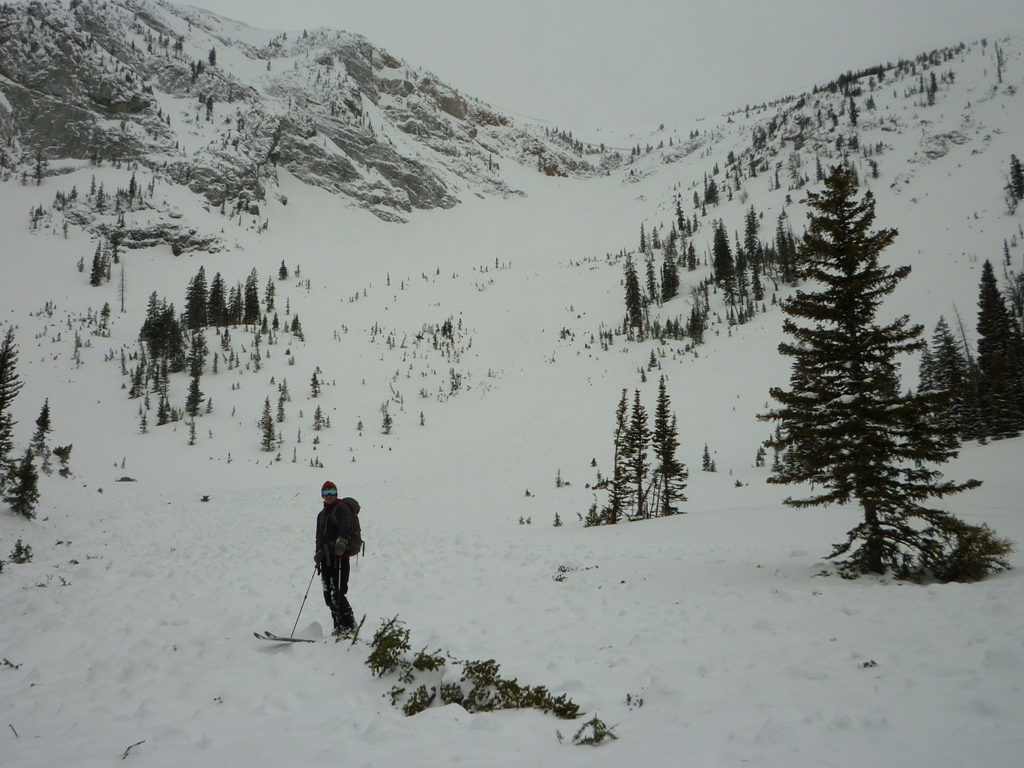 Avalanche Track Northern Bridgers 18 March 11