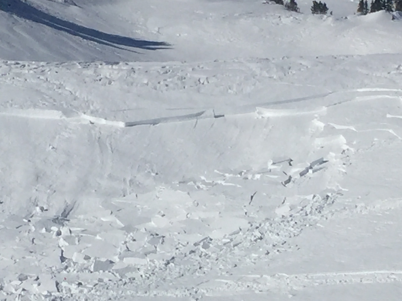 Snowmobile triggered wind slab near Cooke City