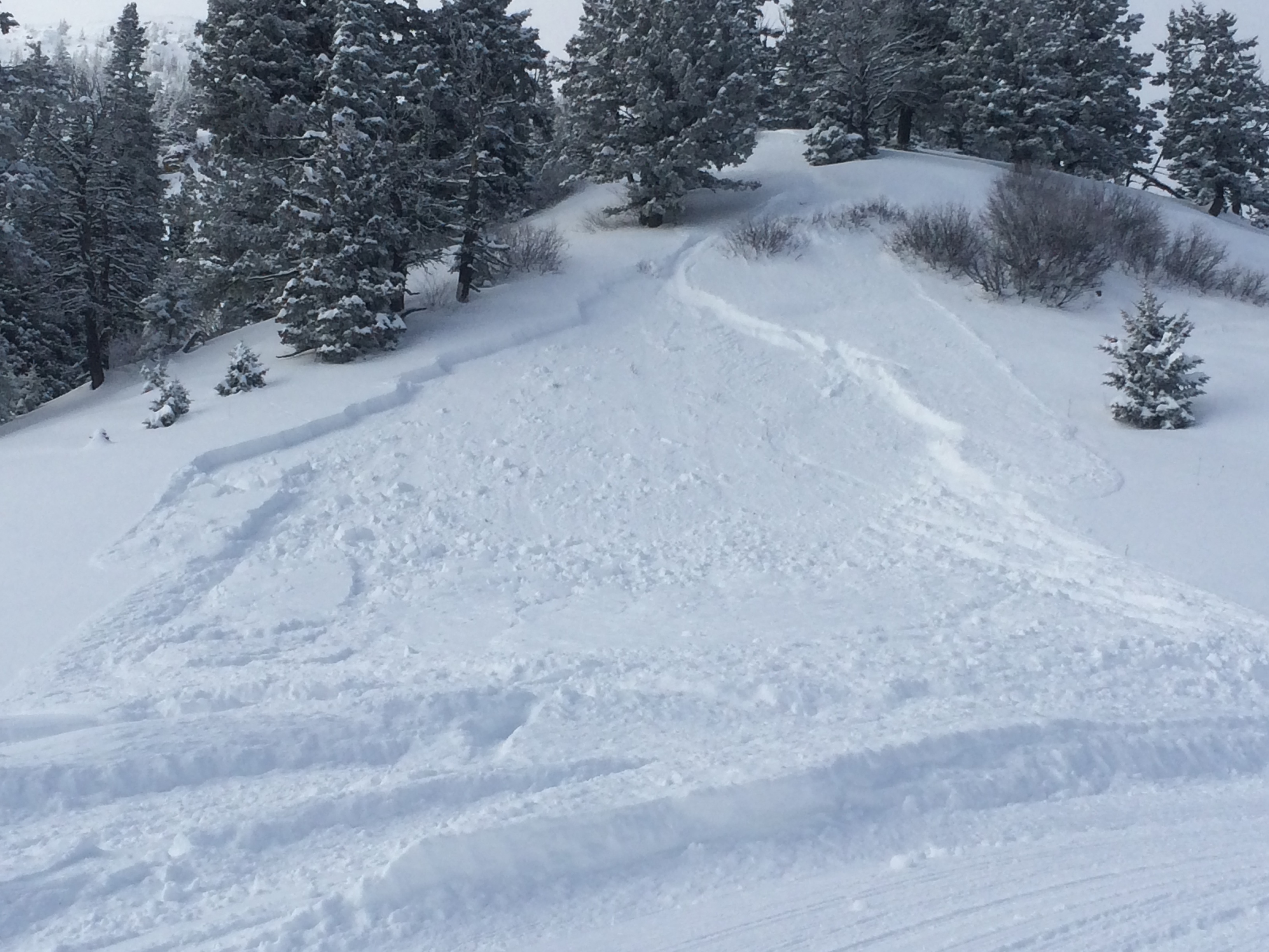 Small avalanche in Bridger Bowl