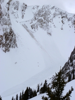 Natural Avalanche - Northern Bridgers