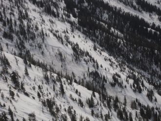 Wet Slab Avalanche - Bridger Range