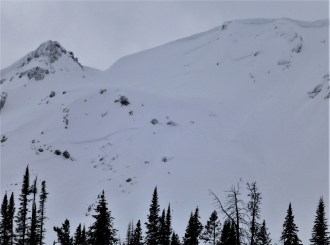 Cooke City Avalanches - 3/10/17