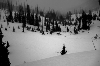 Toe of debris of natural avalanche in Sheep Creek near Cooke