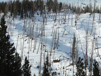 Cooke City Avalanches